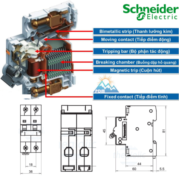 Disjoncteur Différentiel Schneider IC60N 2P 25A 30mA - Neuf Sous Emballage - Modèle A9TYA4225